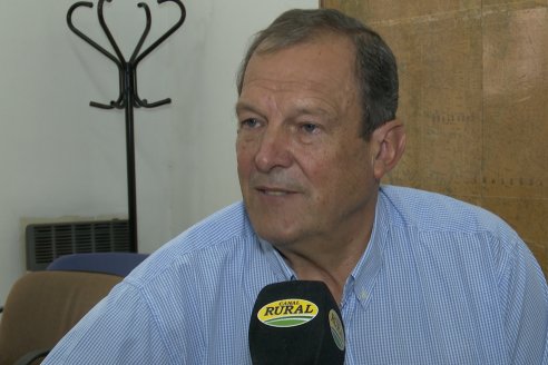 El productor Luis Folmer es el nuevo presidente de Fucofa