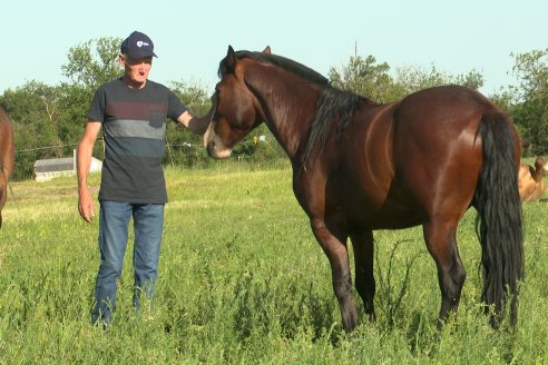 Mano a Mano con Hugo Born - El Campo y los amigos, dos pasiones que 