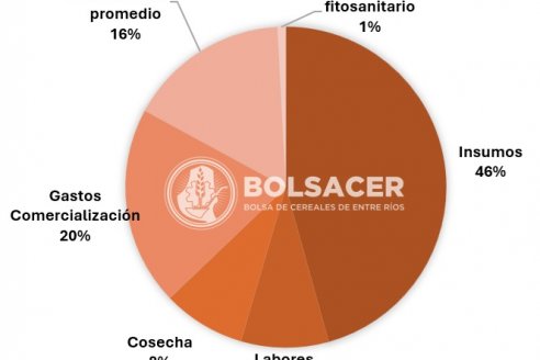 Los rindes históricos no cubren costos actuales de producción granaria