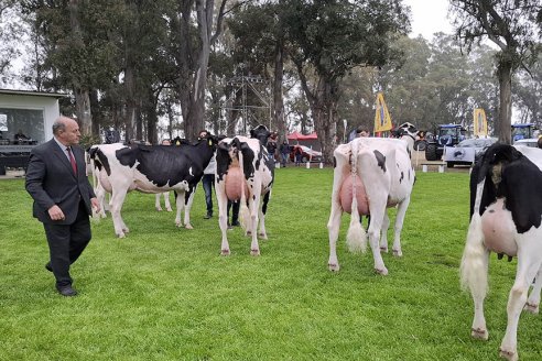 Fiesta Nacional del Holando Argentino en la Expo Villa María