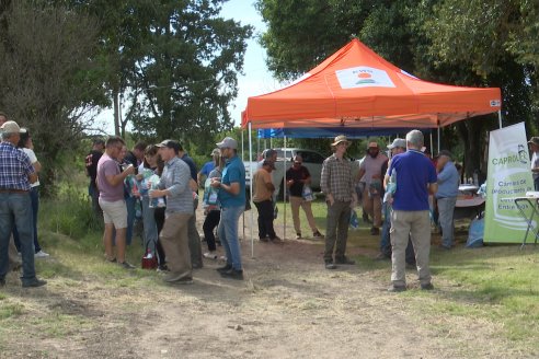 Jornada a Campo de Ensilado de Maiz en El Palenque de Agrofe Campo junto a KWS, Rizobacter y Caproler