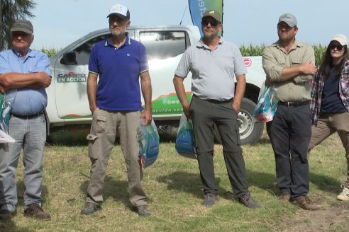 Jornada a Campo de Ensilado de Maiz en El Palenque de Agrofe Campo junto a KWS, Rizobacter y Caproler