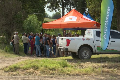 Jornada a Campo de Ensilado de Maiz en El Palenque de Agrofe Campo junto a KWS, Rizobacter y Caproler