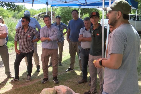 Jornada a Campo de Ensilado de Maiz en El Palenque de Agrofe Campo junto a KWS, Rizobacter y Caproler