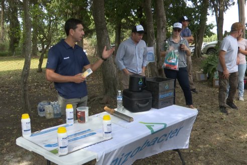 Jornada a Campo de Ensilado de Maiz en El Palenque de Agrofe Campo junto a KWS, Rizobacter y Caproler