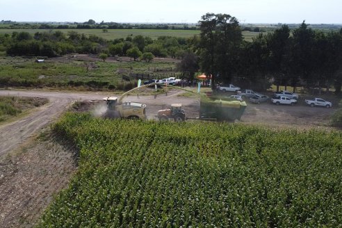 Jornada a Campo de Ensilado de Maiz en El Palenque de Agrofe Campo junto a KWS, Rizobacter y Caproler