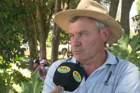 Jornada a Campo de Ensilado de Maiz en El Palenque de Agrofe Campo junto a KWS, Rizobacter y Caproler