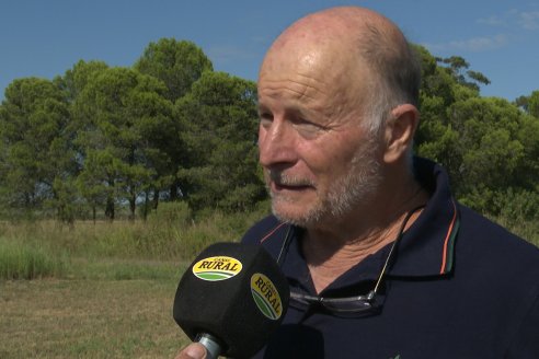 Héctor Tortul - Grupo Bolzán - Girasol en el Departamento Paraná