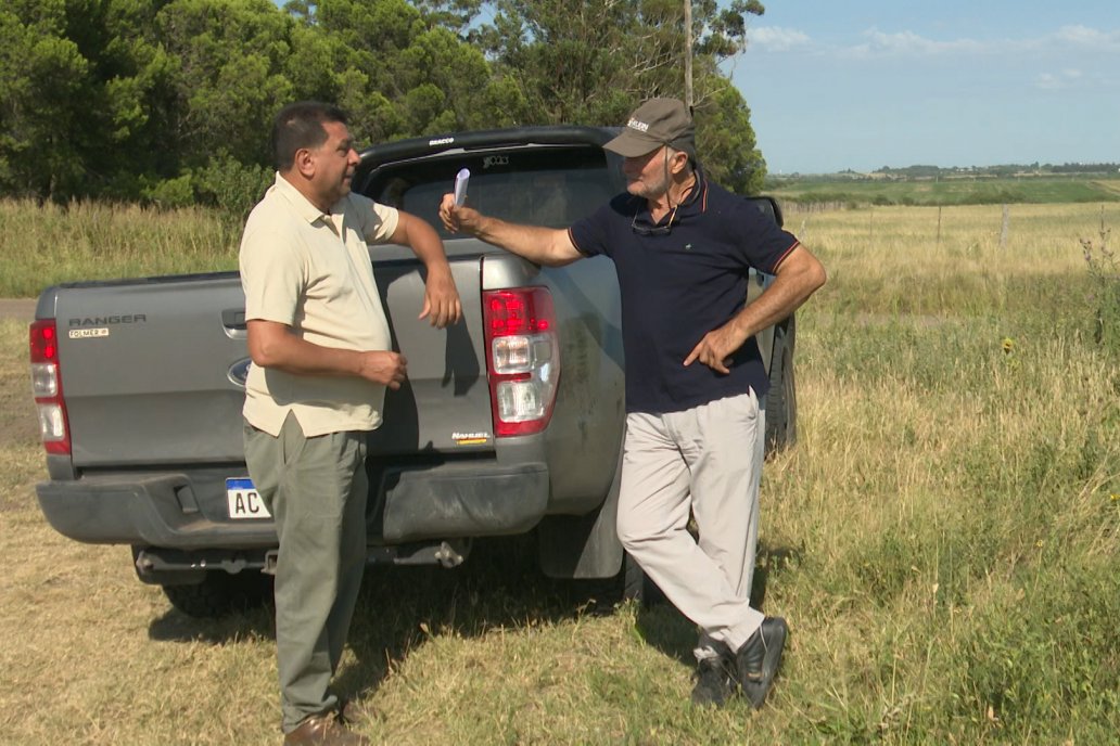 Héctor Tortul - Grupo Bolzán - Girasol en el Departamento Paraná