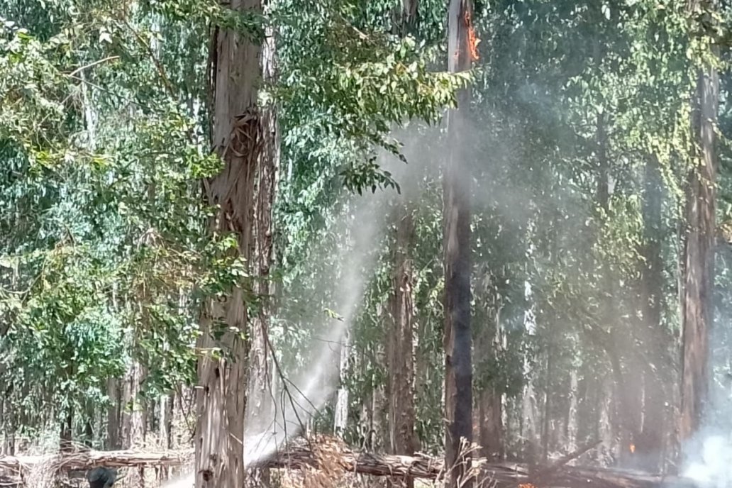 Ambos focos de fuego se desataron el domingo y se extendieron hasta el lunes.