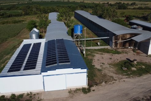 ReEnerger: Paneles Solares en Avicola Don Alfonso de Gobernador Etchevehere