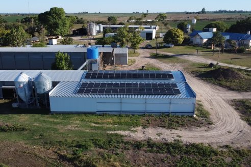 ReEnerger: Paneles Solares en Avicola Don Alfonso de Gobernador Etchevehere