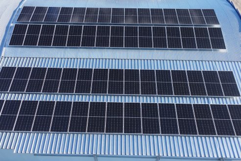 ReEnerger: Paneles Solares en Avicola Don Alfonso de Gobernador Etchevehere