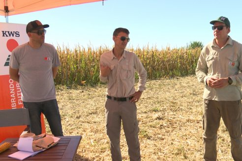 Jornada Tecnica Campo - Ensayos Maices KWS de Dinagro SRL en Aldea Santa Rosa