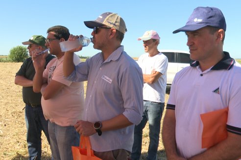 Jornada Tecnica Campo - Ensayos Maices KWS de Dinagro SRL en Aldea Santa Rosa