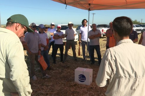 Jornada Tecnica Campo - Ensayos Maices KWS de Dinagro SRL en Aldea Santa Rosa