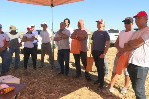 Jornada Tecnica Campo - Ensayos Maices KWS de Dinagro SRL en Aldea Santa Rosa