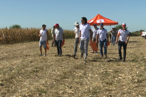 Jornada Tecnica Campo - Ensayos Maices KWS de Dinagro SRL en Aldea Santa Rosa