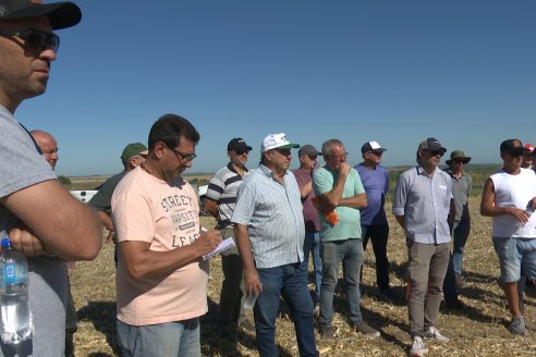 Jornada Tecnica Campo - Ensayos Maices KWS de Dinagro SRL en Aldea Santa Rosa