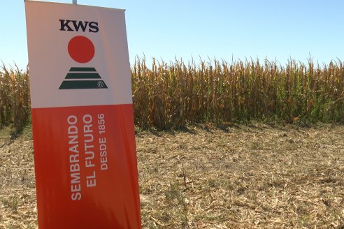 Jornada Tecnica Campo - Ensayos Maices KWS de Dinagro SRL en Aldea Santa Rosa