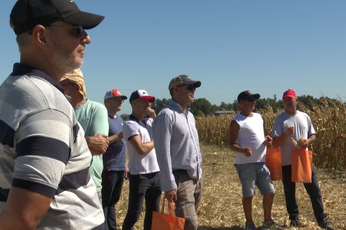 Jornada Tecnica Campo - Ensayos Maices KWS de Dinagro SRL en Aldea Santa Rosa