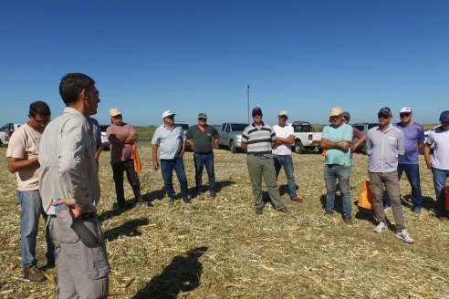 Jornada Tecnica Campo - Ensayos Maices KWS de Dinagro SRL en Aldea Santa Rosa