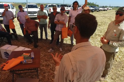 Jornada Tecnica Campo - Ensayos Maices KWS de Dinagro SRL en Aldea Santa Rosa