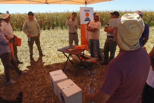 Jornada Tecnica Campo - Ensayos Maices KWS de Dinagro SRL en Aldea Santa Rosa