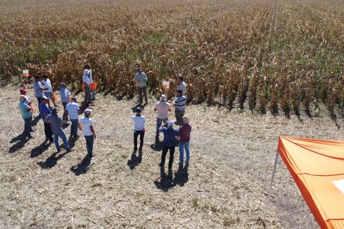 Jornada Tecnica Campo - Ensayos Maices KWS de Dinagro SRL en Aldea Santa Rosa