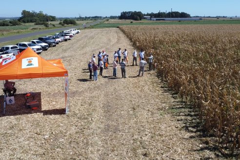 Jornada Tecnica Campo - Ensayos Maices KWS de Dinagro SRL en Aldea Santa Rosa