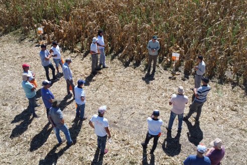 Jornada Tecnica Campo - Ensayos Maices KWS de Dinagro SRL en Aldea Santa Rosa