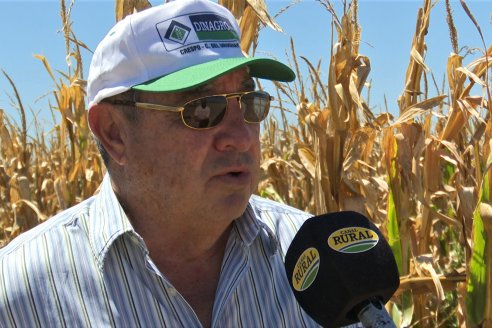 Jornada Tecnica Campo - Ensayos Maices KWS de Dinagro SRL en Aldea Santa Rosa