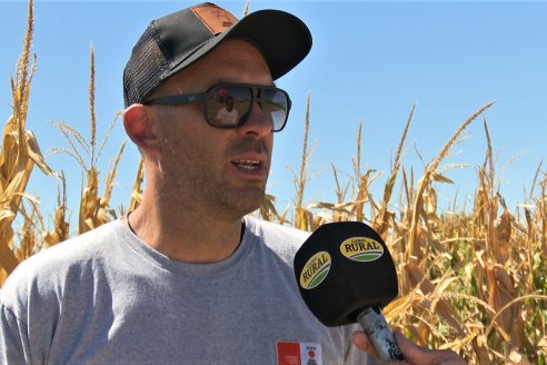 Jornada Tecnica Campo - Ensayos Maices KWS de Dinagro SRL en Aldea Santa Rosa