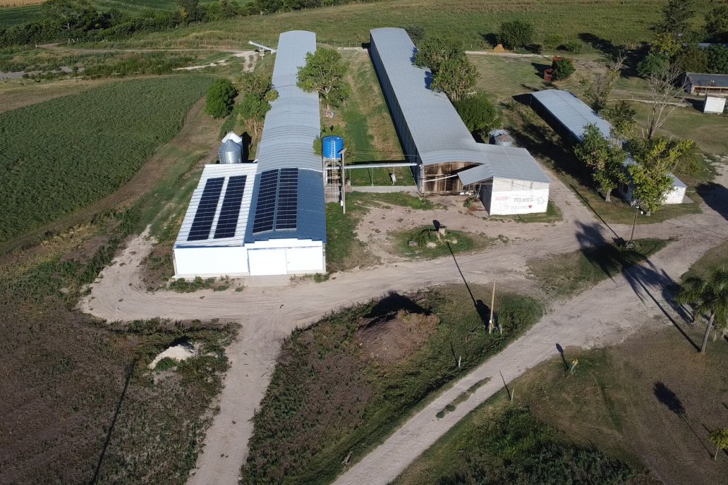 ReEnerger: Paneles Solares en Avicola Don Alfonso de Gobernador Etchevehere