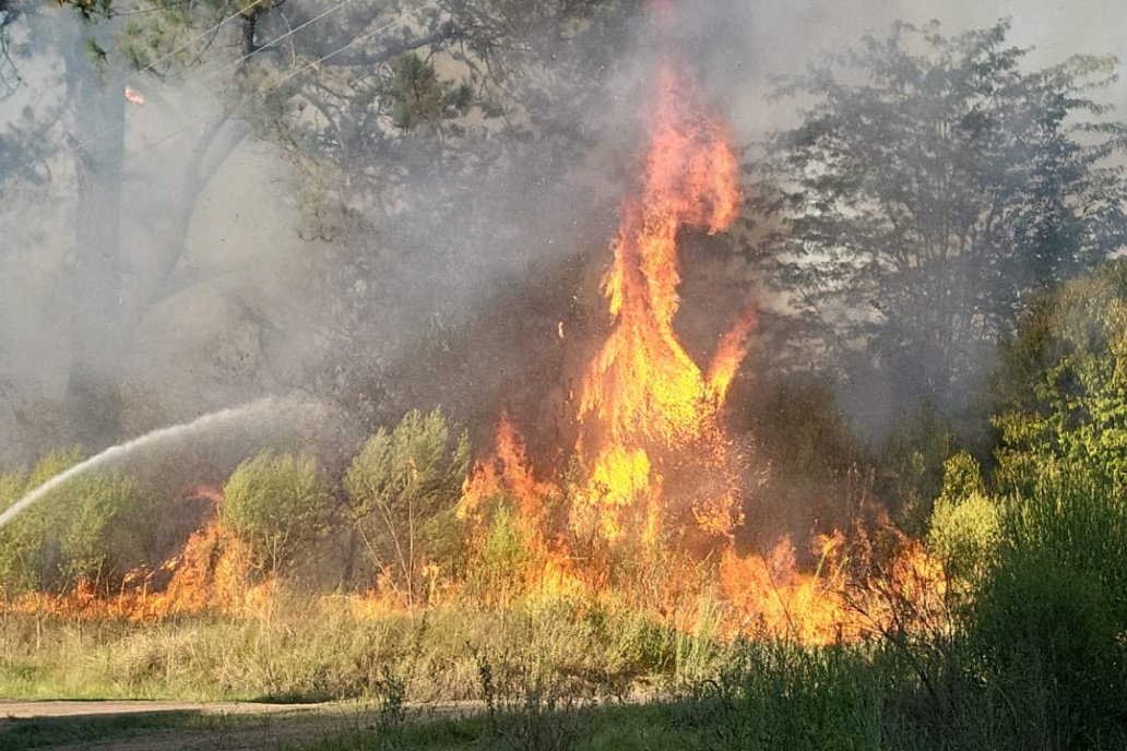 Las llamas afectaron de manera decisiva campos forestales sin dañar el pueblo.