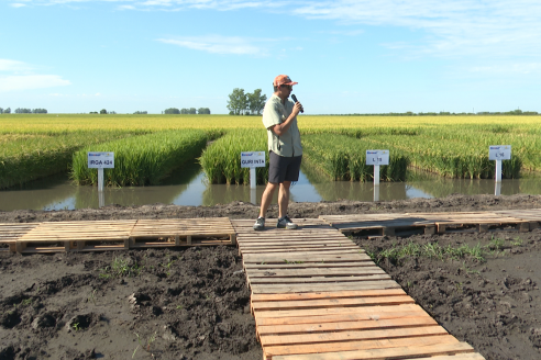 Dia a Campo de Arroz 2025 - San Salvador, Entre Ríos