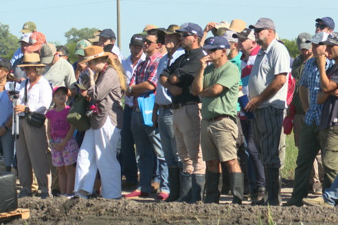 Dia a Campo de Arroz 2025 - San Salvador, Entre Ríos