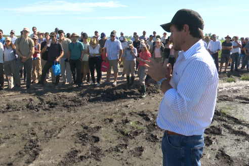 Dia a Campo de Arroz 2025 - San Salvador, Entre Ríos