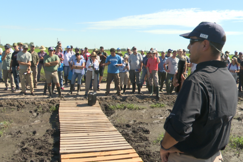 Dia a Campo de Arroz 2025 - San Salvador, Entre Ríos