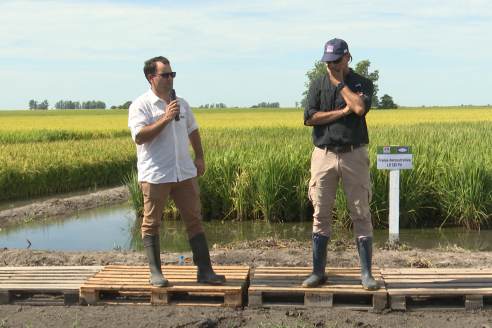 Dia a Campo de Arroz 2025 - San Salvador, Entre Ríos