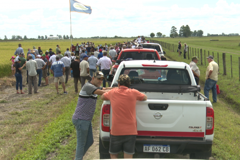 Dia a Campo de Arroz 2025 - San Salvador, Entre Ríos