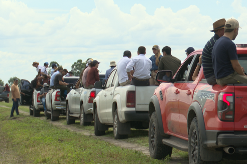 Dia a Campo de Arroz 2025 - San Salvador, Entre Ríos