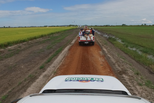 Dia a Campo de Arroz 2025 - San Salvador, Entre Ríos