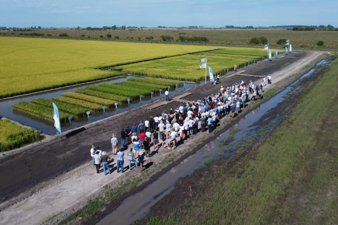 Dia a Campo de Arroz 2025 - San Salvador, Entre Ríos