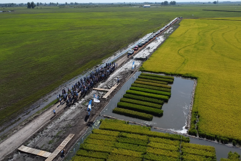 Dia a Campo de Arroz 2025 - San Salvador, Entre Ríos