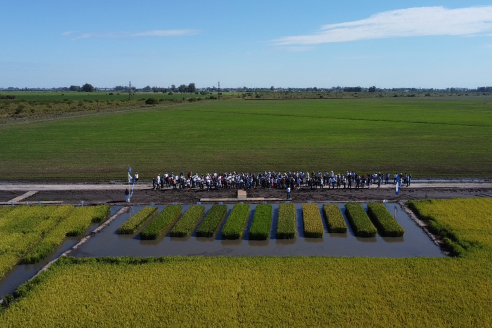 Dia a Campo de Arroz 2025 - San Salvador, Entre Ríos