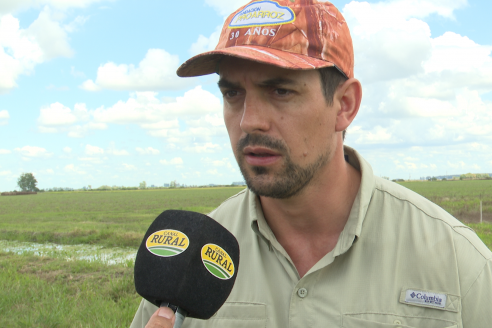 Dia a Campo de Arroz 2025 - San Salvador, Entre Ríos