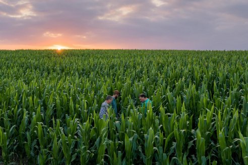 En Expoagro 2025, un recorrido por la esencia de Supra Semillas