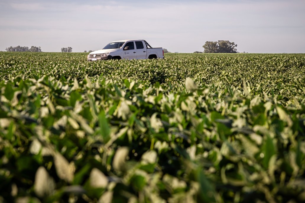 DONMARIO en Expoagro: más cerca del productor y con un ecosistema innovador