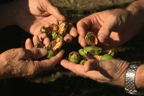 Visita a Granja La Suiza - Villaguay - Entre Ríos